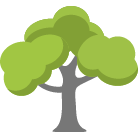 Chandler Tree Removal