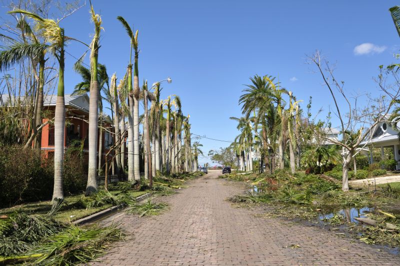 Tree on Roof After Storm