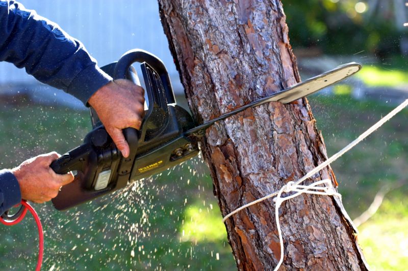 Clearing a Tree from a Commercial Property